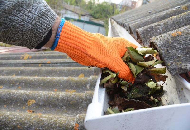 Why Regular Gutter Cleaning Protects Your Home